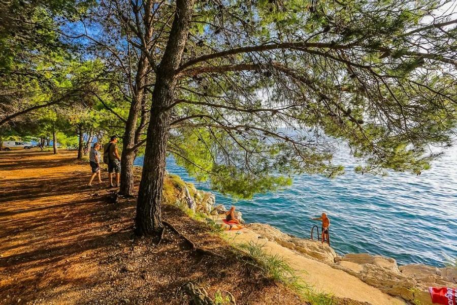 Holiday Home Bajlo Apartment With Three Bedrooms Zadar Eksteriør bilde